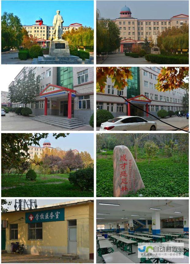 石家庄专业网站制作公司，助力企业提升品牌形象和业绩增长