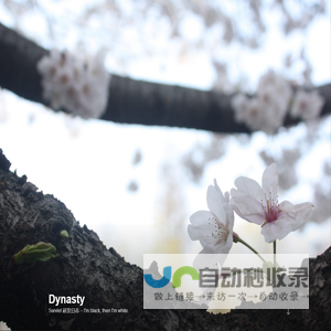 Dynasty – Servlet 研发日志 – I'm black, then I'm white.